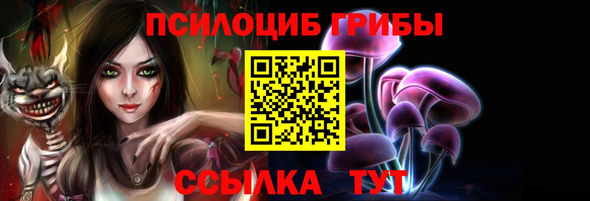 Псилоцибиновые грибы Cubensis  Вход с VPN  Реутов 